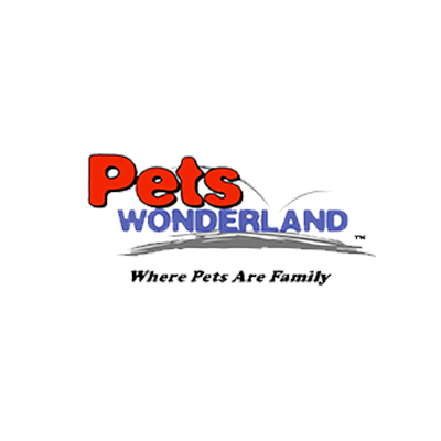 Pet wonderland services pws essay image